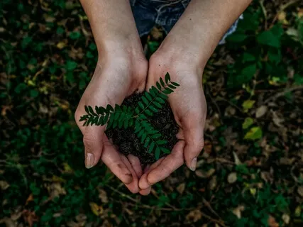 Healing Prayer For The Earth & All Its Inhabitants