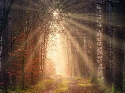 Freedom In The Face Of Difficult Emotions - Finding Your Core Fear