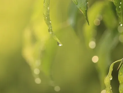 Be Brave & Be The Light!