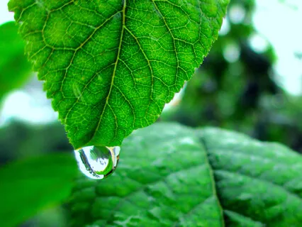 13: "Rain in Sharps and Flats" - Piano & Nature Sounds 