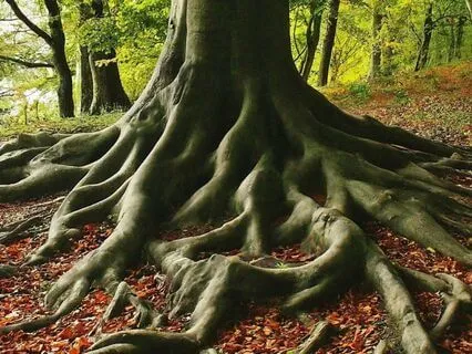 Unveiling Your Inner Core: A Meditation For Deep Grounding