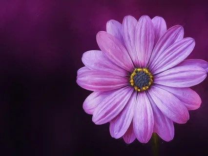 Unveiling Your Life´s Purpose Meditation