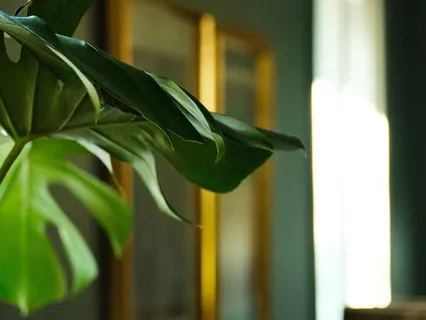 Unwind After Work- Take A Break- Let Go Of Stress