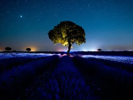 Unwind And Dream: Restful Slumber