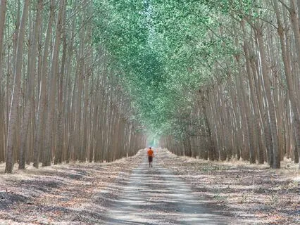 Unwind And Relax: Find Your Calm