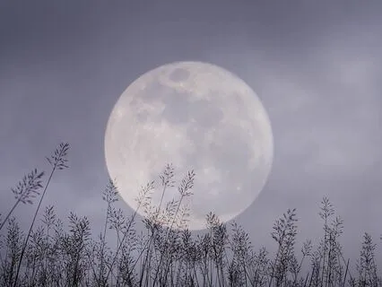 Unwind & De-stress – Piano For Relaxation & Sleep