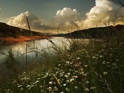 Unwind Effortlessly: Feel the Tension Fade