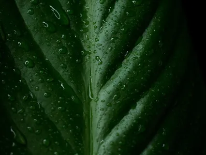 Unwind From Your Day 