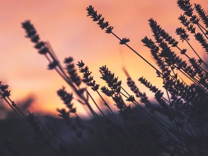 Unwind In The Evening With Sonic Crystals In A Sound Bath