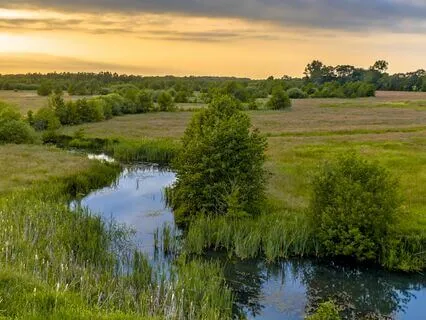 Unwind Instantly: Soothing Escape For The Soul