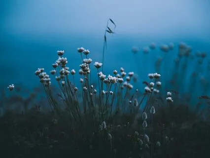 Unwind Into Tranquility