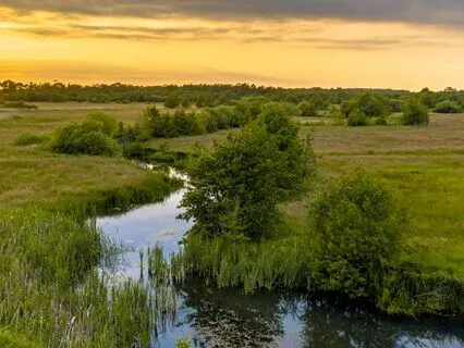 Unwind Oasis: Calm And Relax