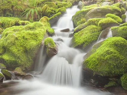 Unwind (Raga Bhimpalasi Alaap)