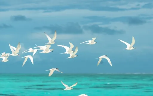 Unwind: Relaxing Nature Soundscape