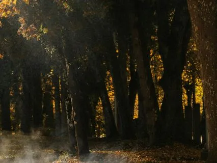 Unwind The Spirit: Journey To Tranquility