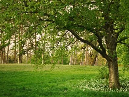 Unwind Time: Instant Stress Relief