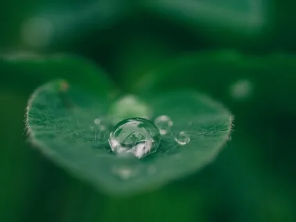 Unwind To Rest With Ambient Sounds & Raindrops - For Stress Relief & Sleep