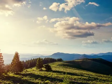 Unwind With Melodies: Tranquil Tunes