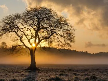 Unwinding Evening Stress Relief