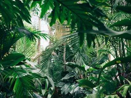 Unwinding: Releasing Unwanted Thoughts Feelings And Emotions