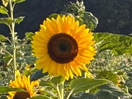 Unwritten Legacies: A Meditation For Childfree Women