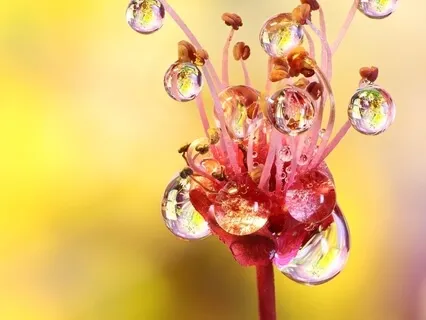  Up & Down Body Scan Meditation For Calming & Softening