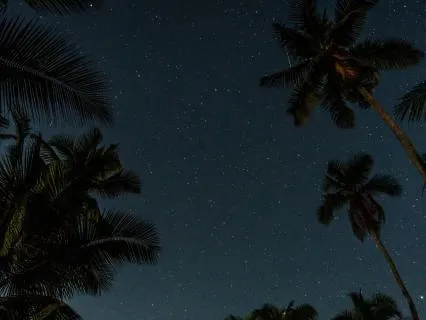 Up At 3 AM? Escape To An Island And Fall Back Asleep