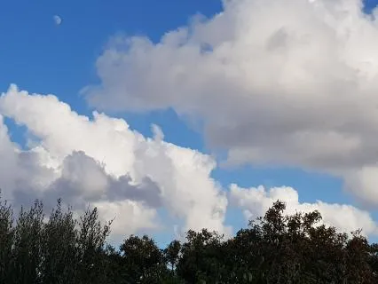 Up & Down Breathing (8x8 W/Music)