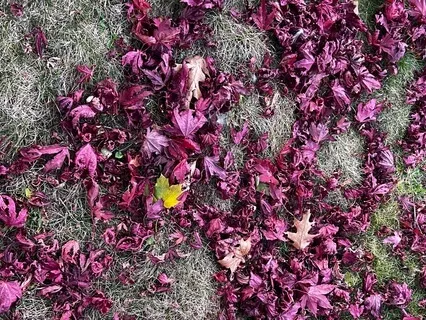 Upbeat Affirmation Meditation For Believing In Yourself