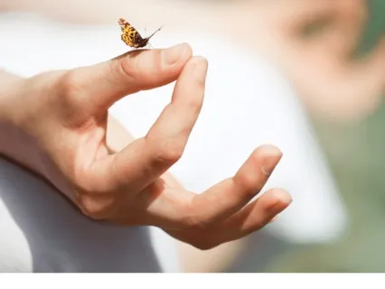 Updated Soft Belly Meditation (Softer Bell & With Music)