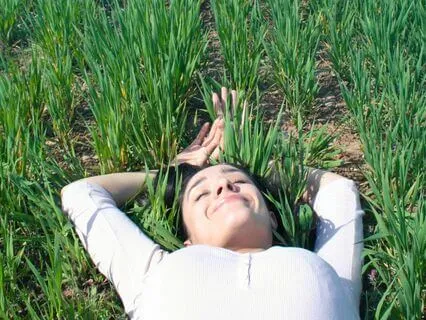 Updates From Your Body