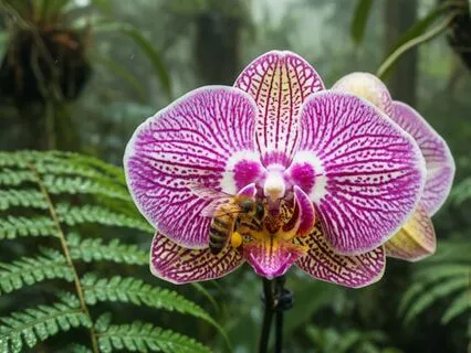 Upgrade Confidence In Your Team