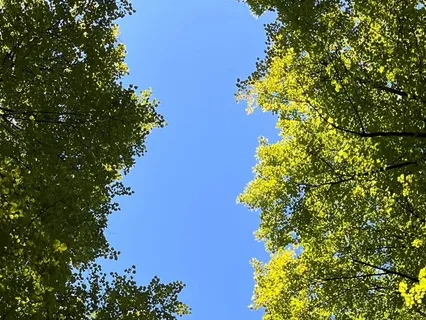 Upgrade A Few Notches