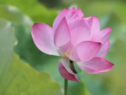 Upgrade Your Third Eye Chakra With Archangel Raphael