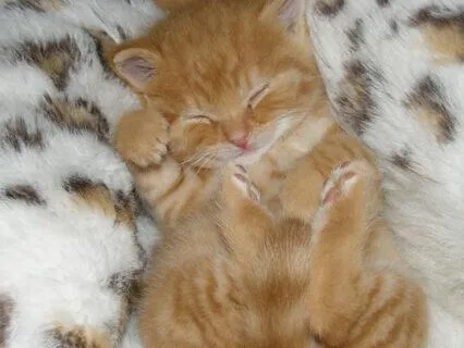 Sleep Peacefully | Live Handpan + 432Hz Sound Bath