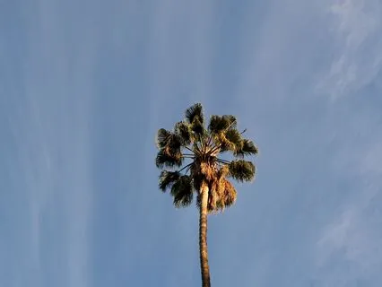 Uplifted On Purpose