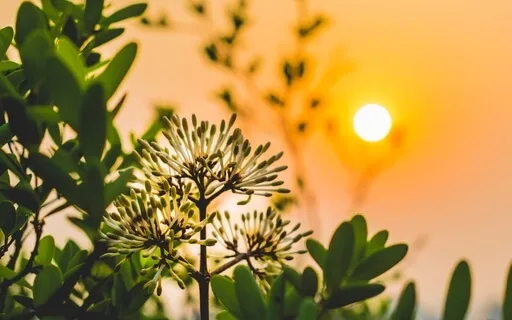 Uplifting Chimes Sound Healing