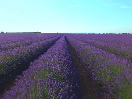 Uplifting Happy Piano Music For Deep Sleep And Stress Relief