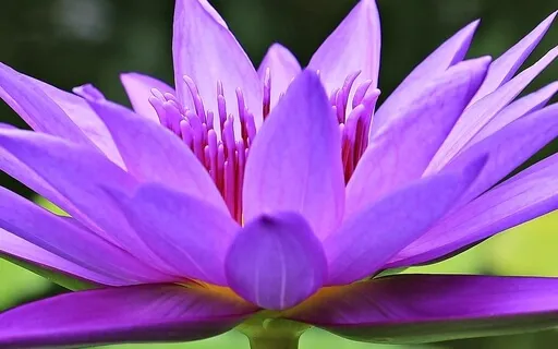 Uplifting Mindfulness Practice