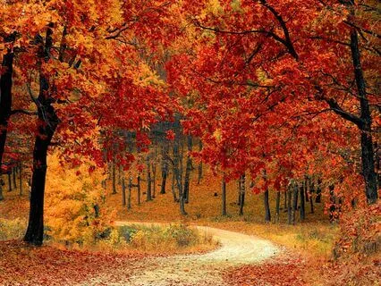 Uplifting Morning Affirmations