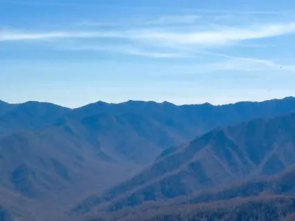 Uplifting Morning Inspiration: Your Sovereign Shield