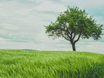 Uplifting Words For Loneliness At Christmas