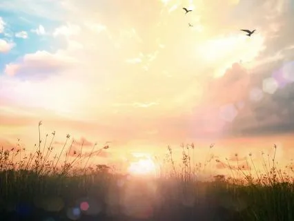 Upon Awakening: Starting Your Day With Intention & Love