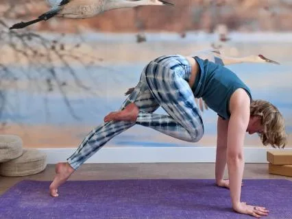 Upper Body Strength Yoga | Build Power For Arm Balances