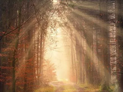 Upper Chakra Clearing: Spiritual And Somatic Healing