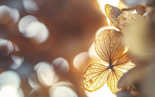 Upper Chakras Journey