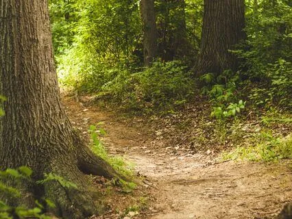 Upper Left Wisdom Tooth: Virtues Archetype