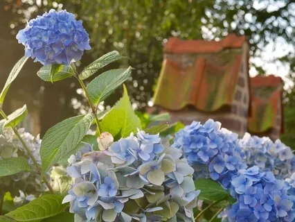 Uppmärksamhet på Andningen