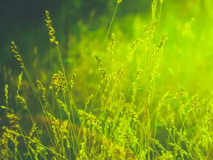 Управление гневом - Медитация с неожиданным финалом