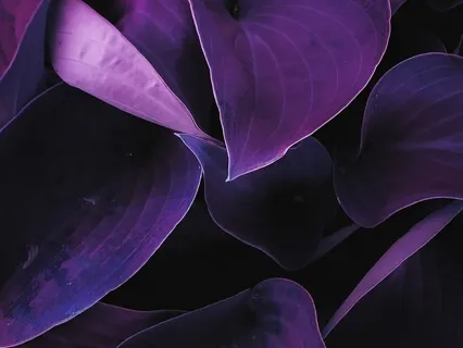 Упражнение на Включение Ясномыслия